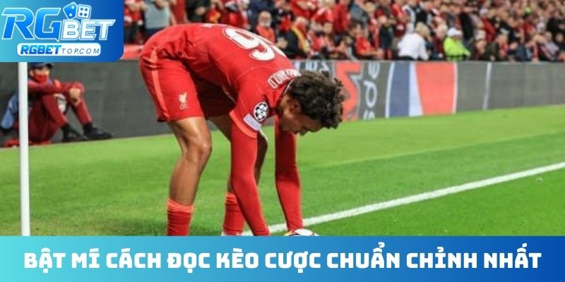 Bật mí cách đọc kèo cược chuẩn chỉnh nhất
